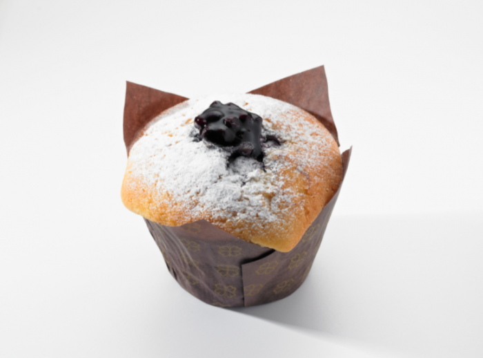 Blueberry Yoghurt Muffin